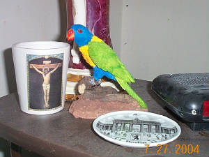 parrotsculpture.jpg